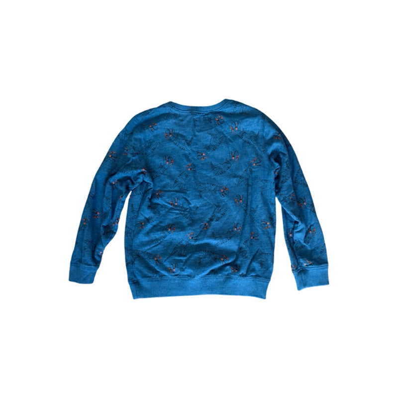 OshKosh B'gosh Boys Sweatshirt Size 12 Blue Graphic Crewneck Pullover