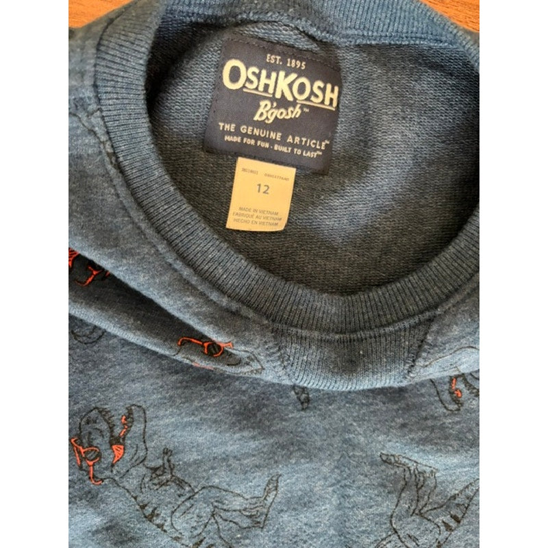 OshKosh B'gosh Boys Sweatshirt Size 12 Blue Graphic Crewneck Pullover
